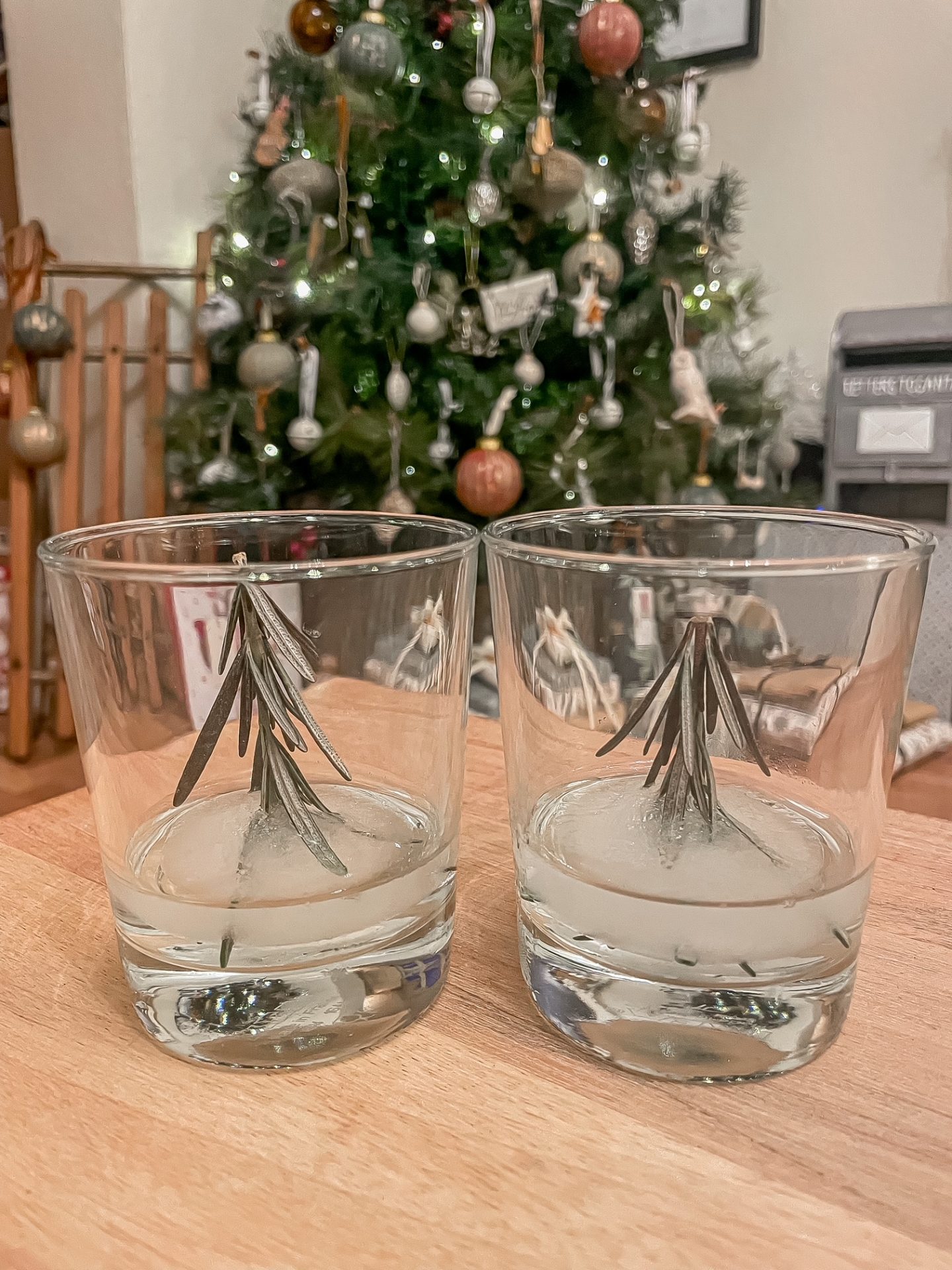 Viral Snow Globe Risemary Tree Cocktail Glass