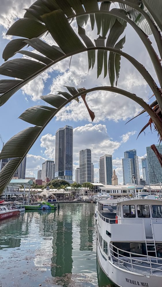 Miami Bayside