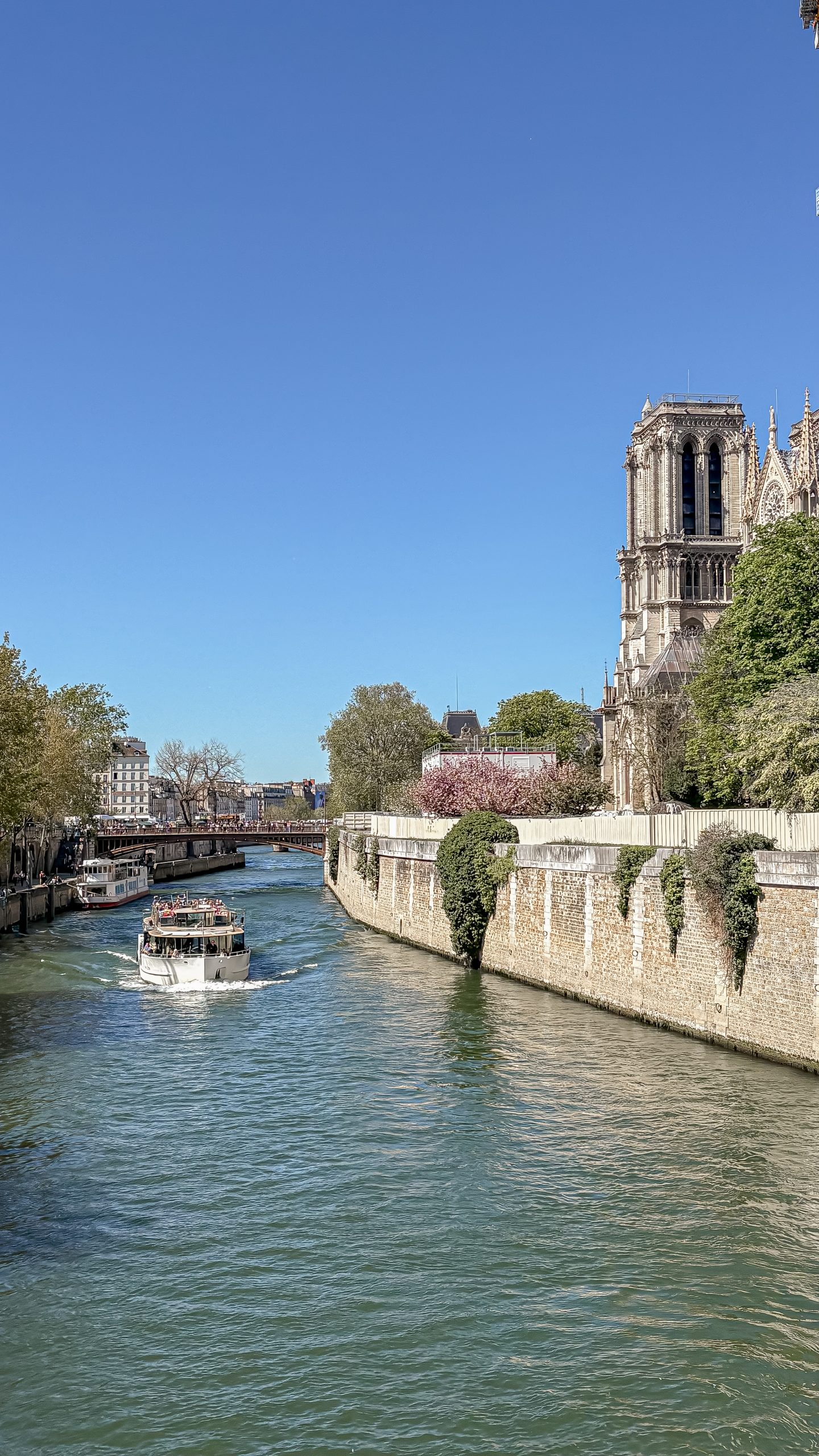 Batobus Hop on Hop off Seine Cruise to Notre Dame