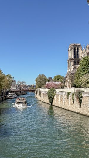 Batobus Hop on Hop off Seine Cruise to Notre Dame