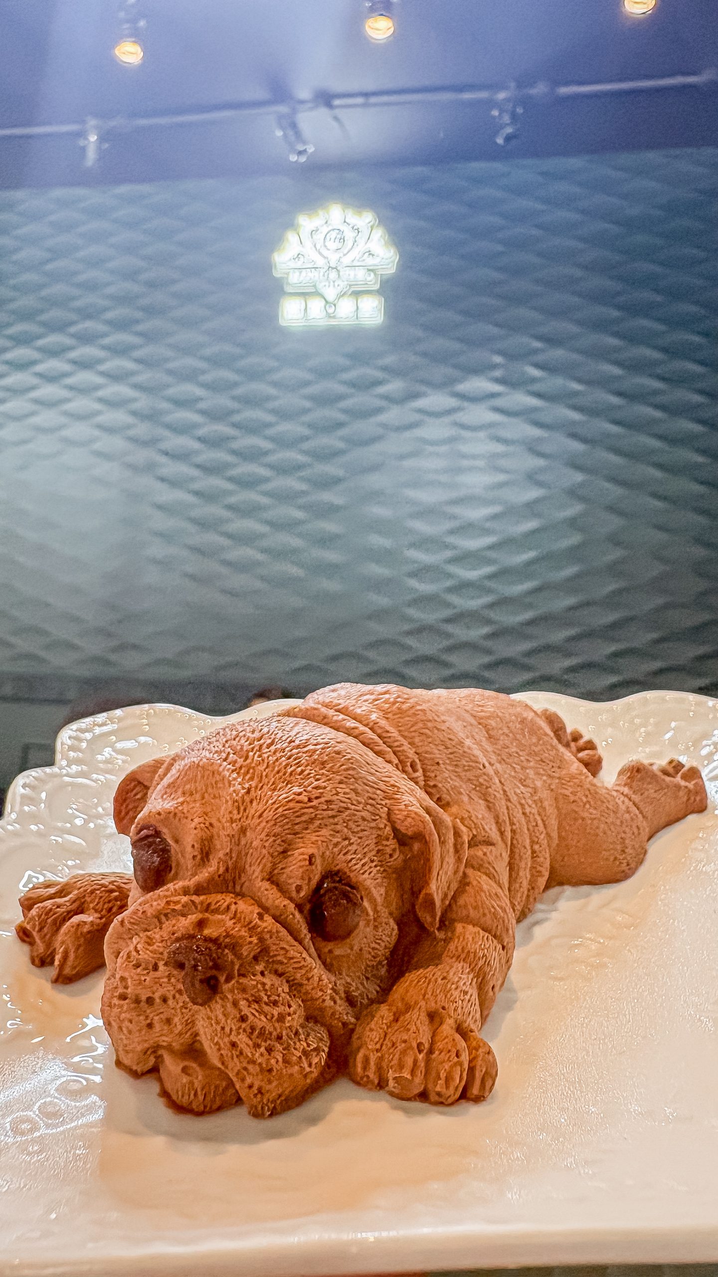 Long & Tee viral chocolate puppy Paris