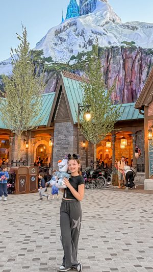 Disney Adventure World Frozen Ever After Disneyland Paris