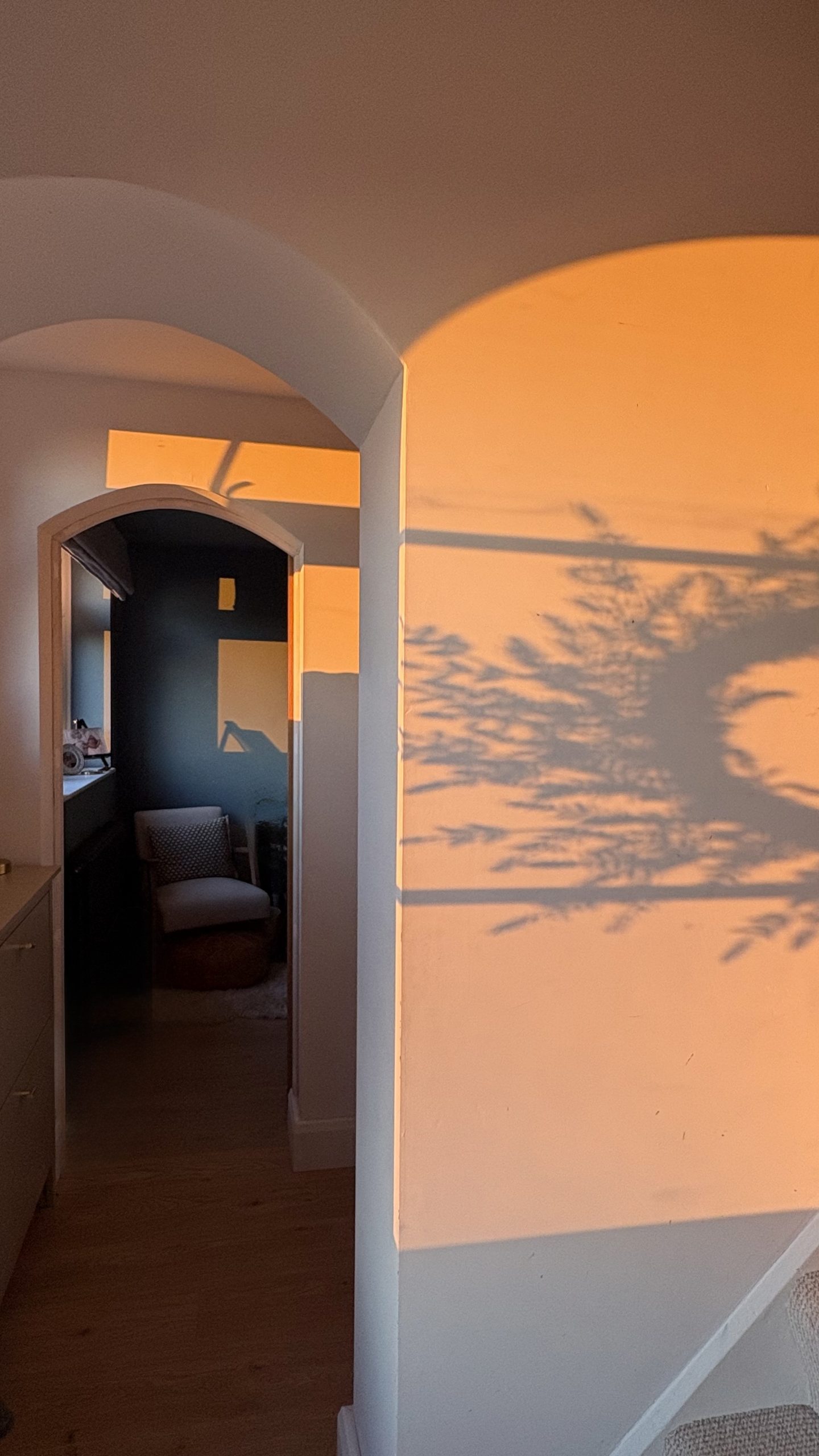 What Has Replaced Accent Walls? 5 Styles That Are Gaining in Popularity